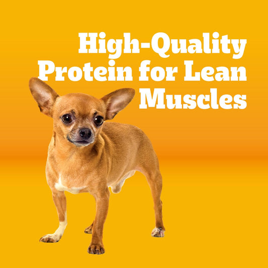 36 vitamins, minerals, and amino acids for complete adult nutrition
