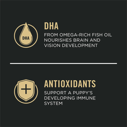 dha from omega-rich fish oil for brain and vision development