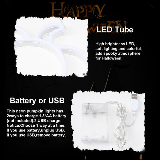 dual power supply: usb cable or 3× aa batteries (only one at a time)