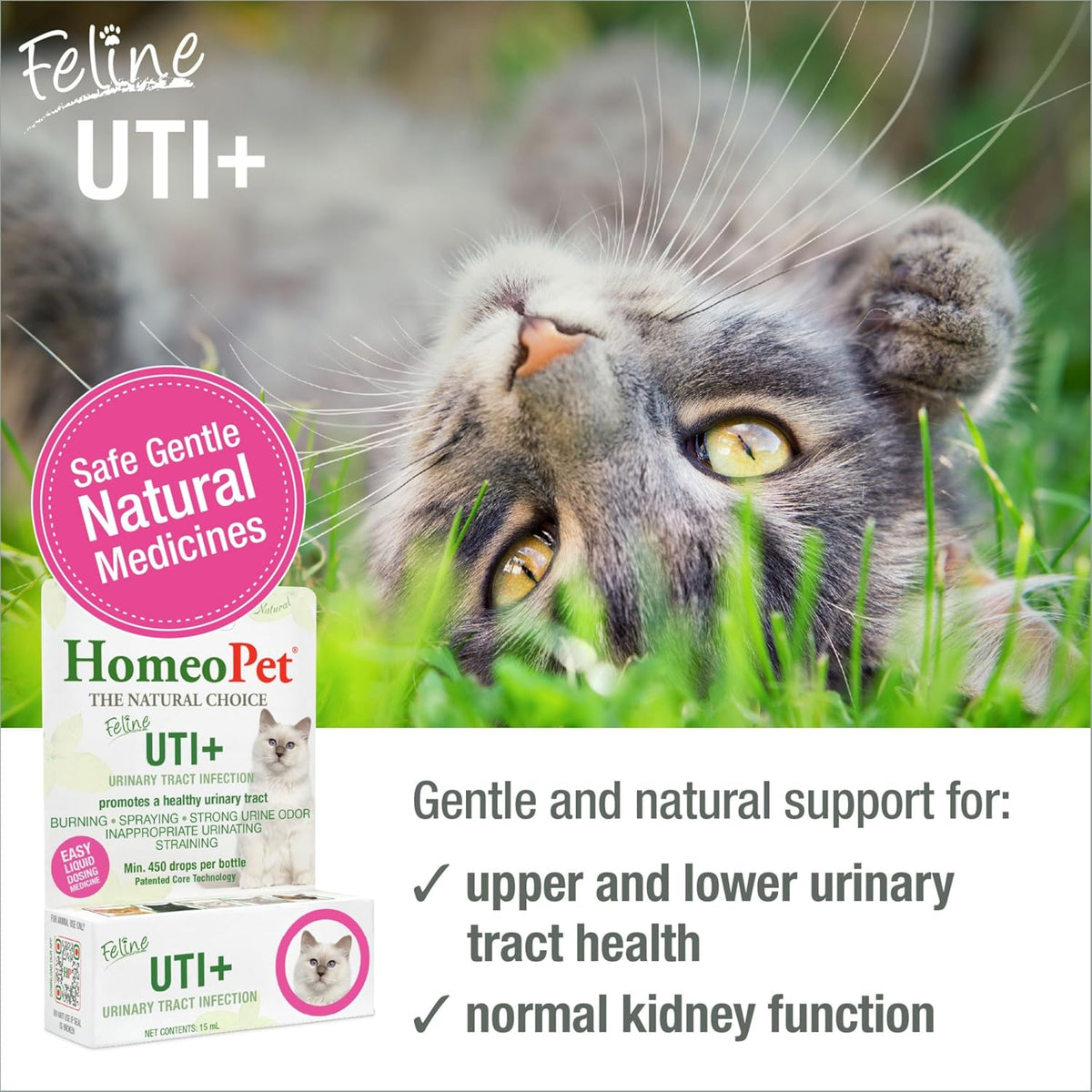 all-natural homeopathic ingredients with no known side effects