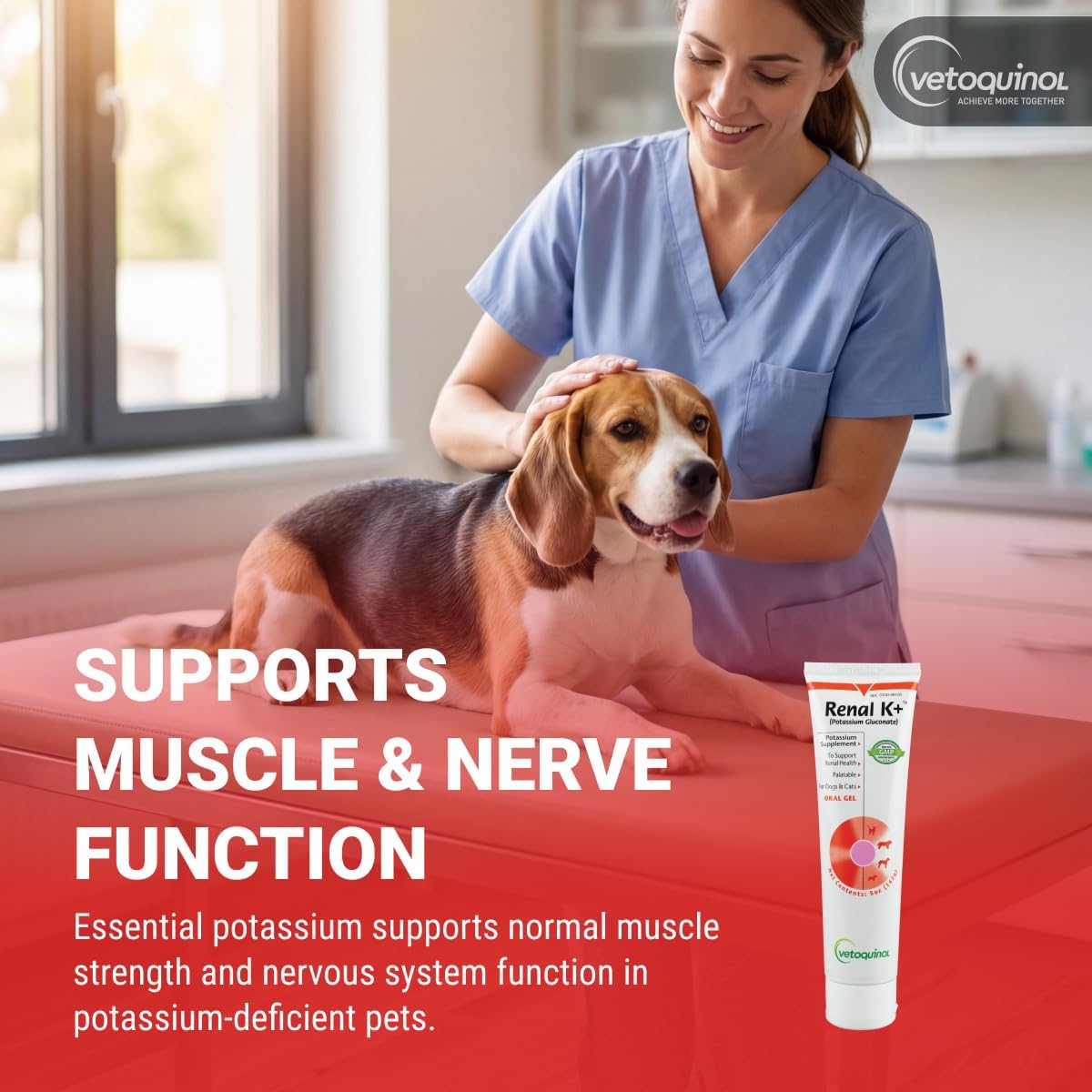 b-complex vitamins (thiamine, riboflavin, niacinamide, pyridoxine, cyanocobalamin, folic acid) plus biotin and calcium d-pantothenate