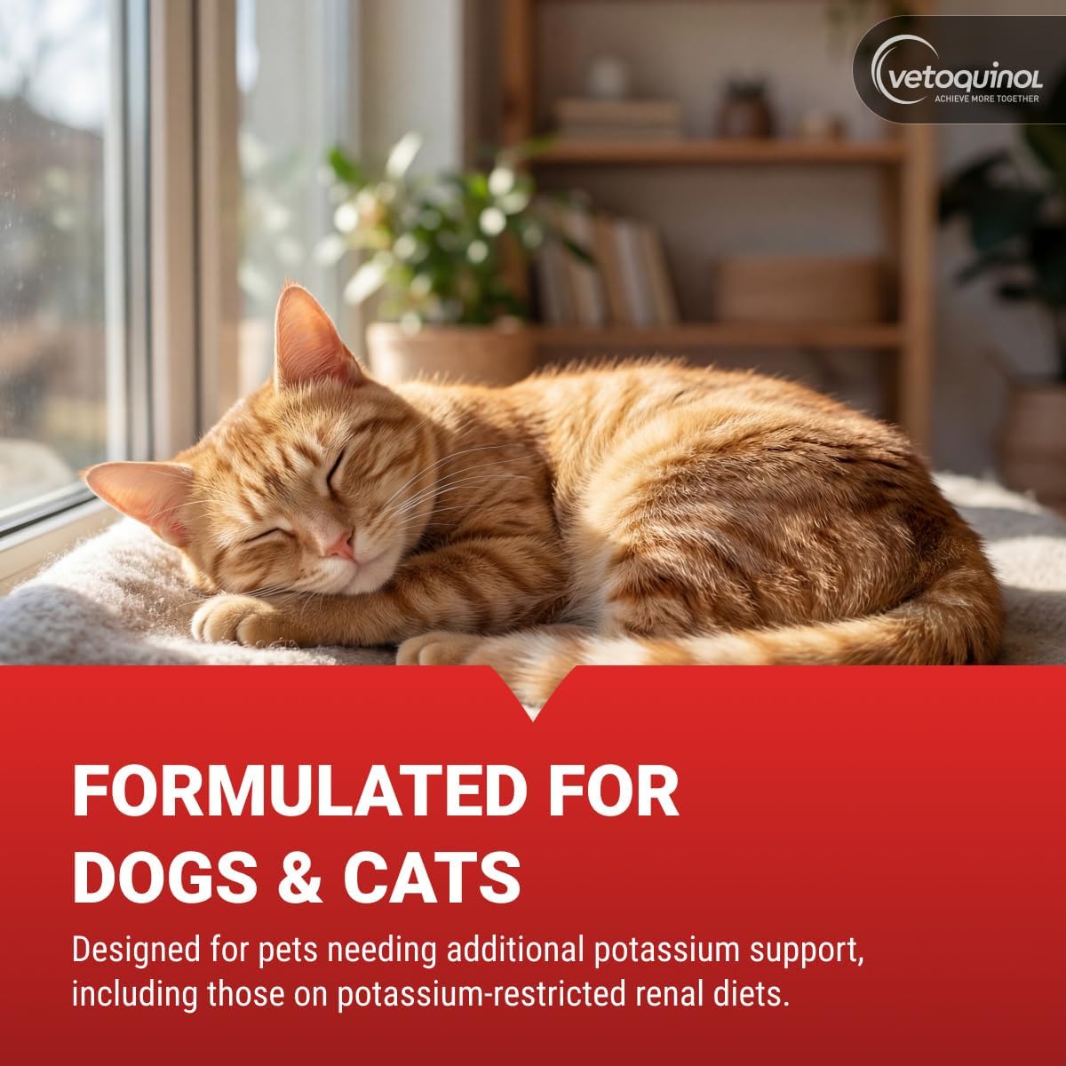 dual-species formulation suitable for both dogs and cats