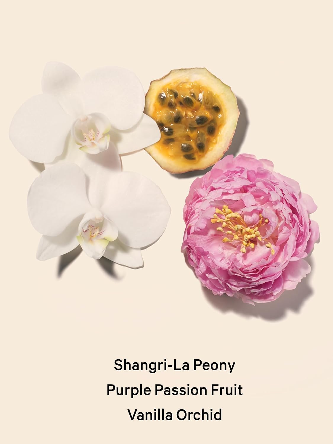fruity floral fragrance family classification