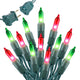Red & Green - 20FT