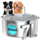 Dog Fountain