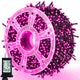 164FT - Pink