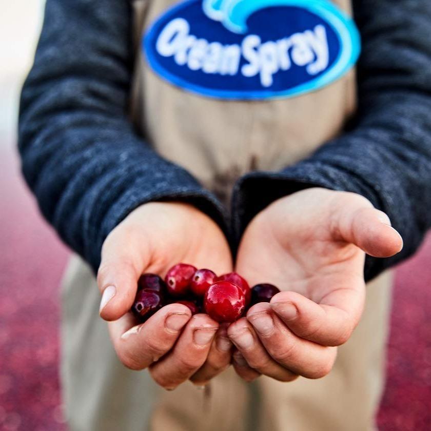 Ocean Spray Cran-Energy Cranberry Raspberry Energy Juice Drink for Teen Lunchboxes and Better For You After School Energy
