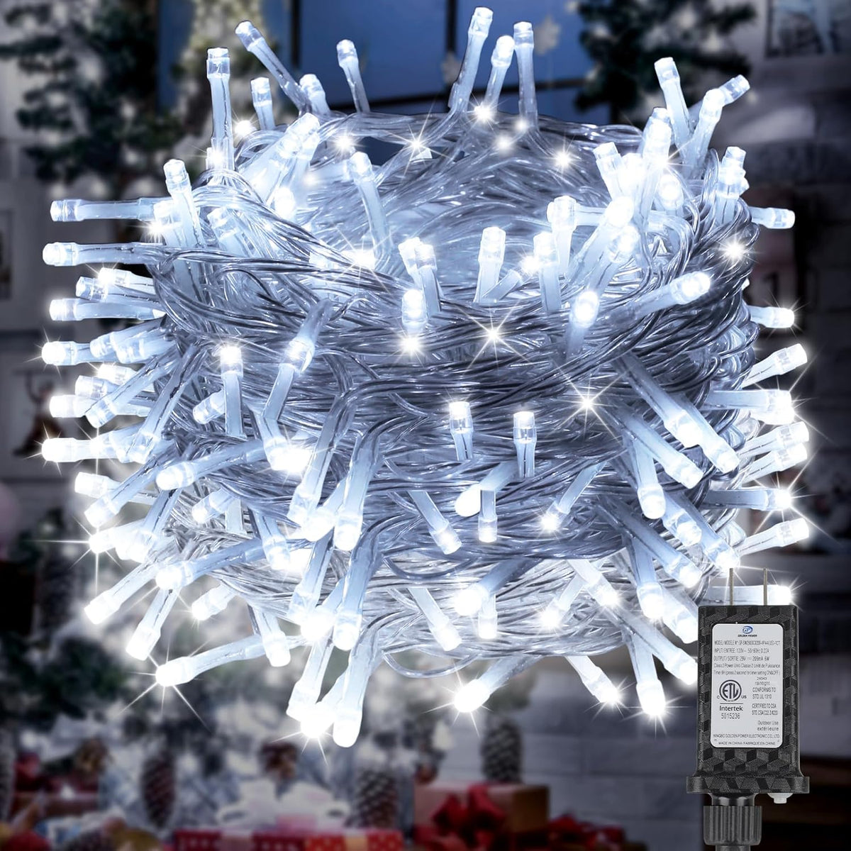 TEEB0FH2QXGHZ