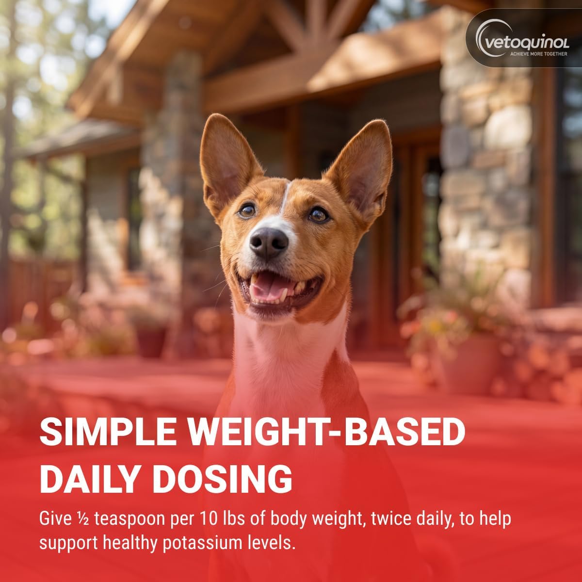 twice-daily gel dosing with three administration methods: food, paw, or nose