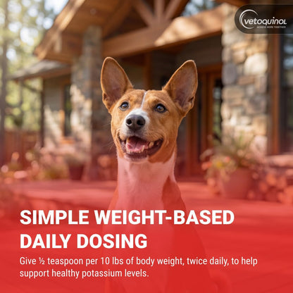 twice-daily gel dosing with three administration methods: food, paw, or nose