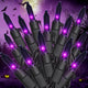 Purple - Black Wire - 50 Count, 2 PACK