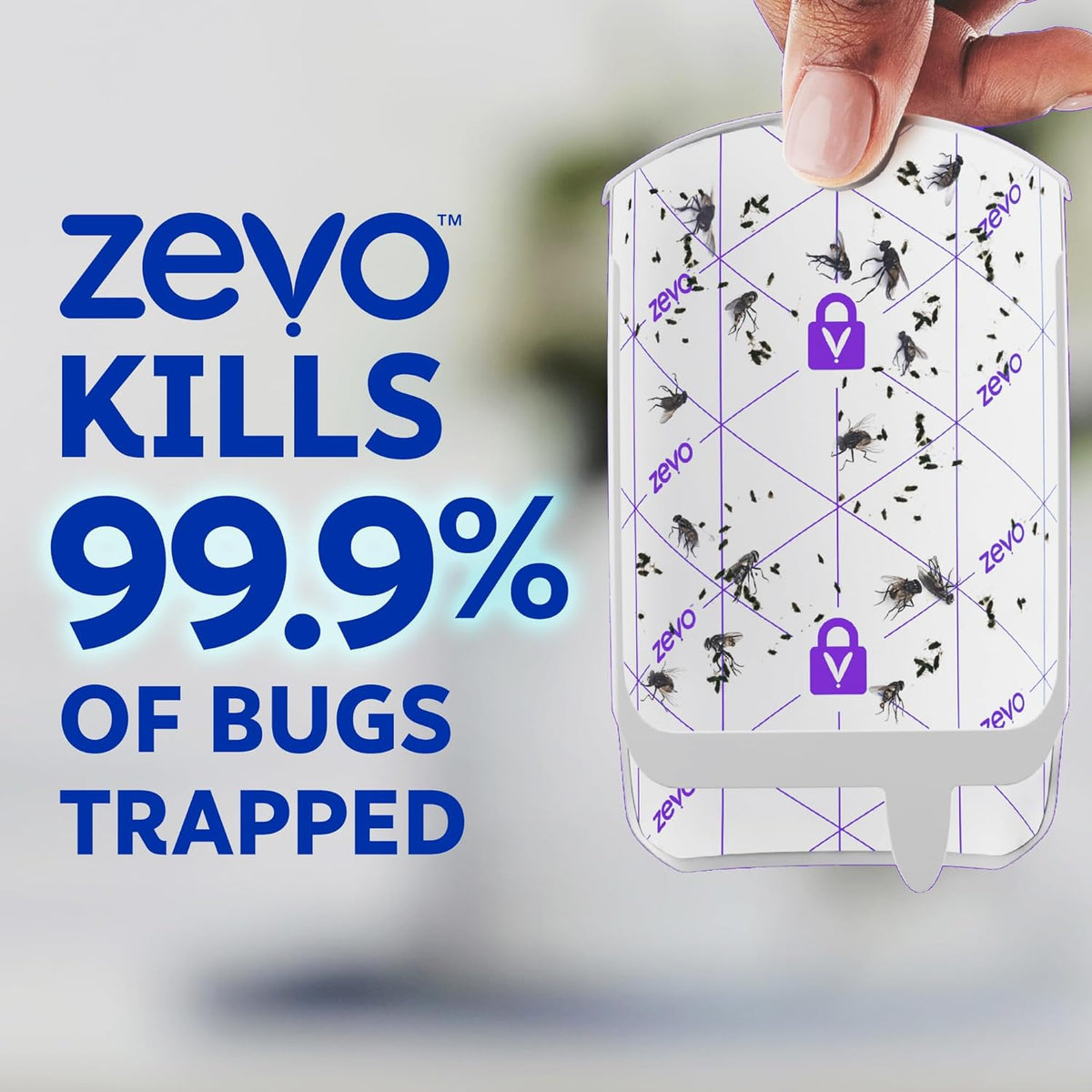 Zevo Light-Based Gnat Catcher – Restorative Sleep Without Buzzing or Harsh Sprays